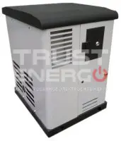 Газовый генератор REG GG6-230SV